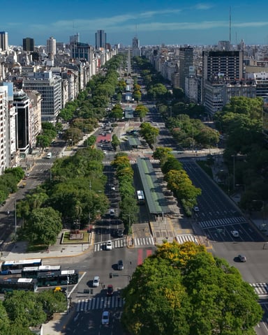 Vista aérea de un bulevar de Buenos Aires